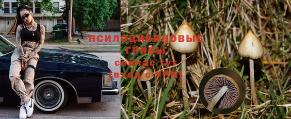 mdpv Медвежьегорск