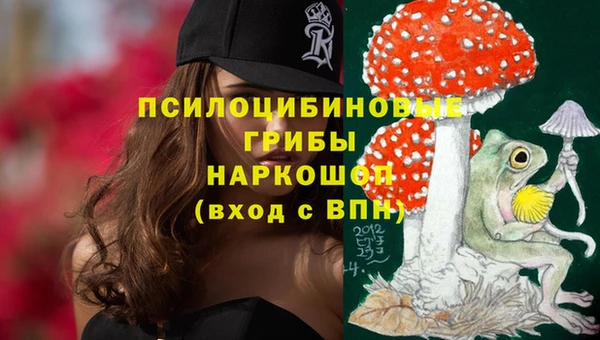 прущие крисы Михайловск