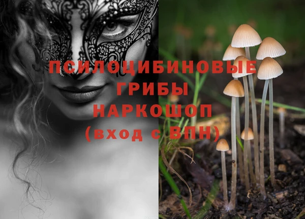 mdpv Медвежьегорск