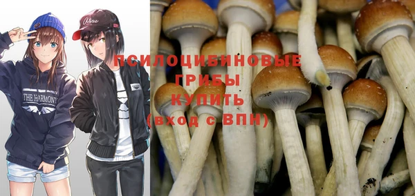 прущие крисы Михайловск