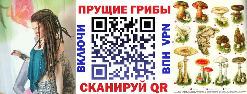 Галлюциногенные грибы Psilocybine cubensis  закладки  Новосиль 