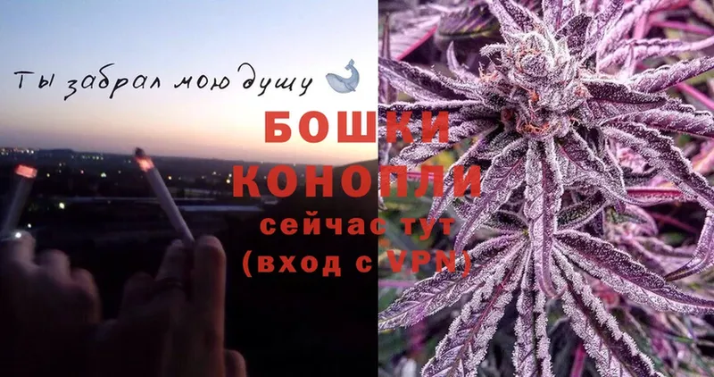 где можно купить   Новосиль  Бошки марихуана семена 